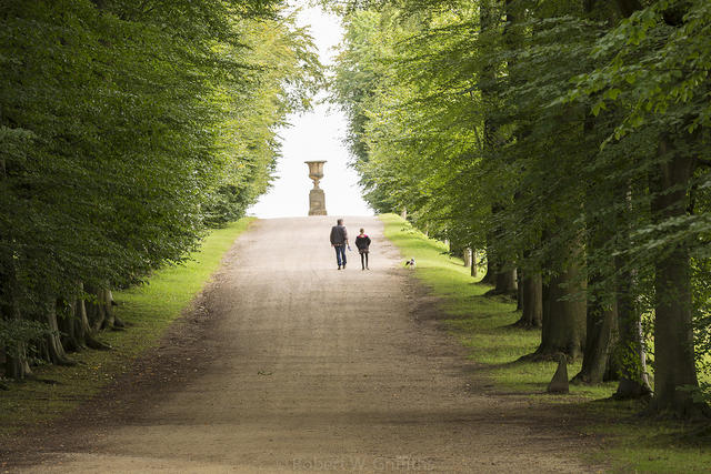Long picturesque driveways in Derbyshire gives a fun activity to visit