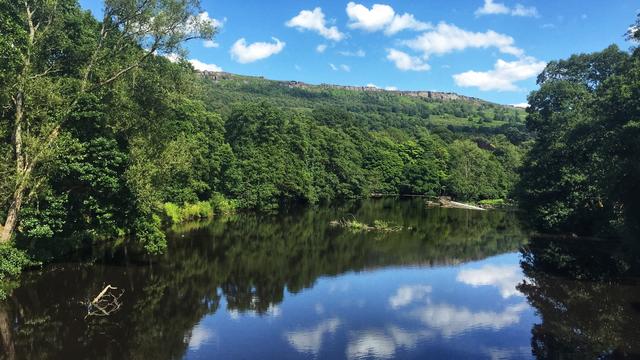 Enjoy a dog walk along one of the stretches of water in Derbyshire.