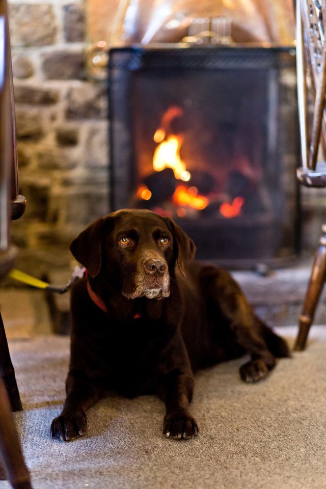 Dog infront of the fire in the Peak District