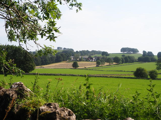 Views across the fields to The Ditch, Chelmorton
