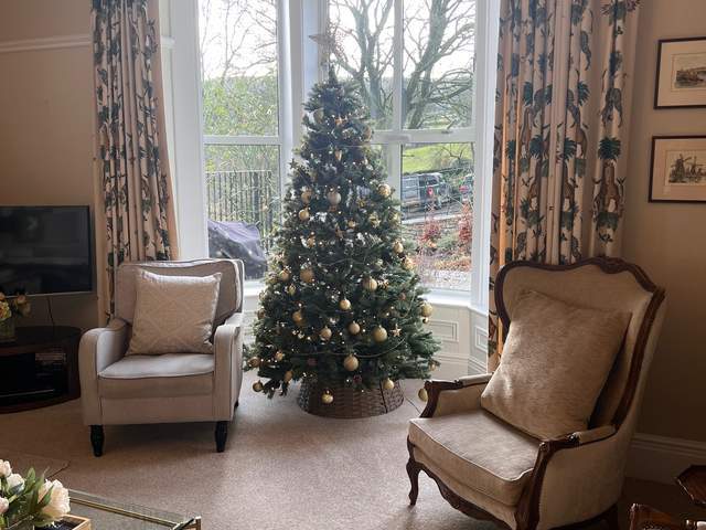 Christmas Tree in the lounge