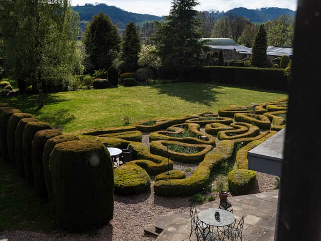 Level lawn area