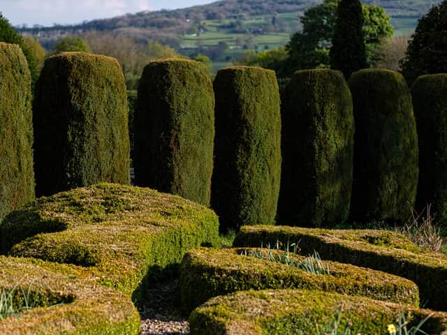 Manicured parterre