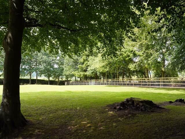 Private meadow and dog run area