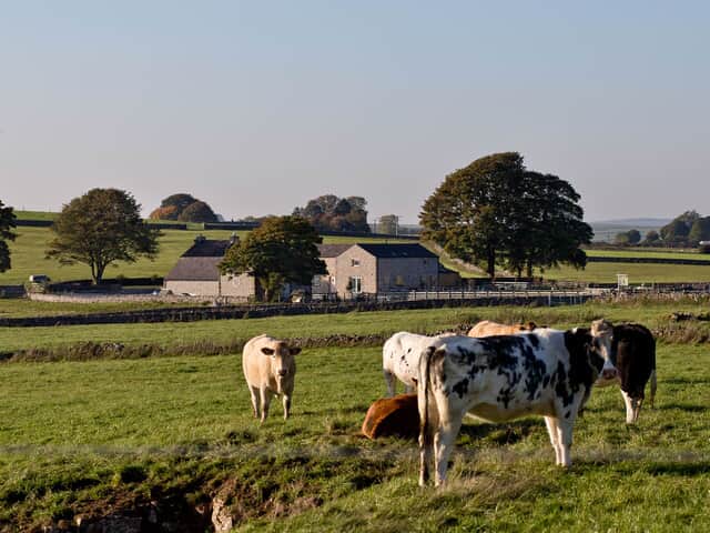 Benty Grange Farm 